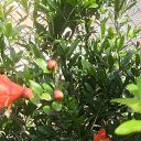 ���� Ded, ������, 59 ��� - ��������� 2 ���� 2023 � ������ ���� ����������