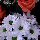 ���� ��������, ������� ����, 41 ��� - ��������� 11 ��� 2023 � ������ ���� ����������