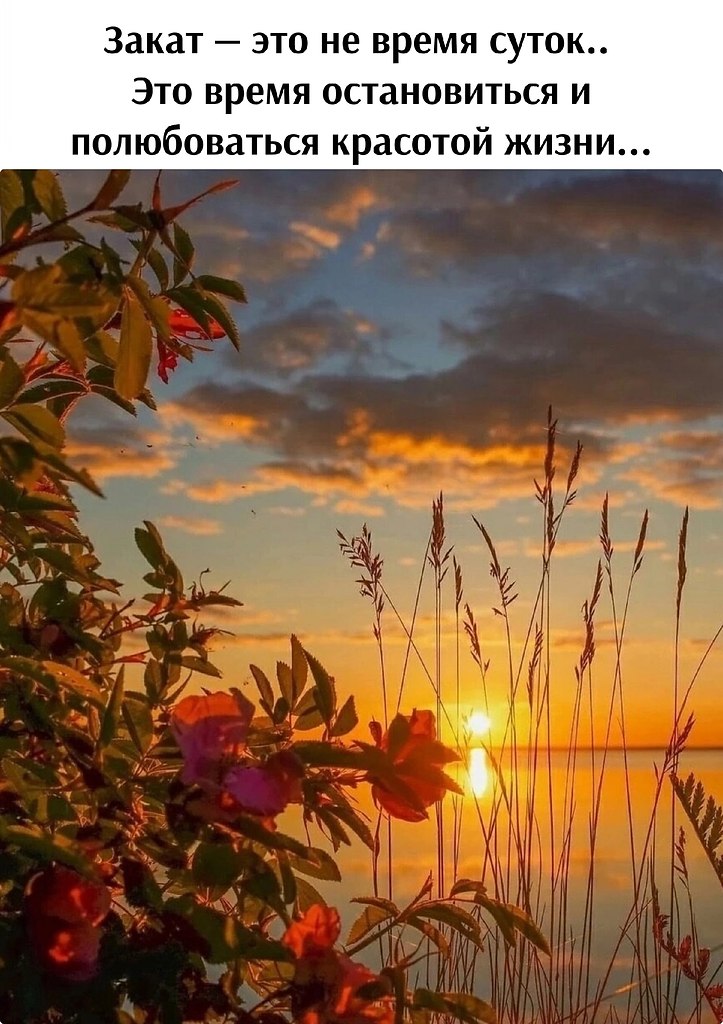   - 23  2023  00:27