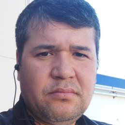 �����, �����������, 39 ���