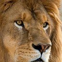 ���� ������, ���������, 38 ��� - ��������� 3 ����� 2023