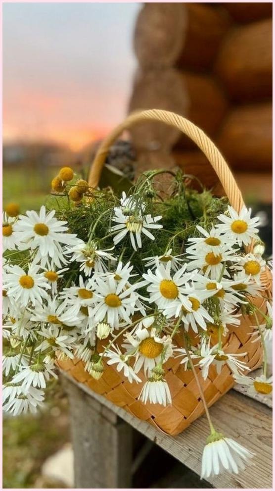 Handmade Club | ���� ��������.�����y�� - 4