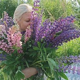 ����, �����������, 48 ���