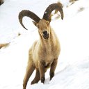 ���� ������, �����������, 29 ��� - ��������� 2 ������� 2023