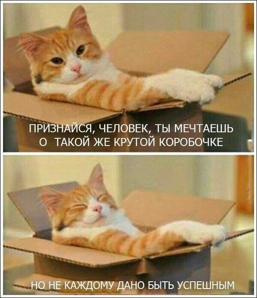    - 3  2023  02:41