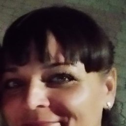 ������, ������, 41 ���