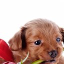 ���� ������, ������, 24 ���� - ��������� 16 ������ 2023 � ������ ���� ����������