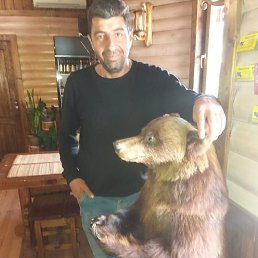 ����, ���������, 33 ����