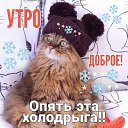 ���� �����, ������ - ��������� 2 ������ 2023 � ������ ���� ����������