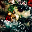 ���� Zaur, ����������, 54 ���� - ��������� 29 ���� 2023