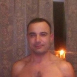 �����, ������, 40 ���