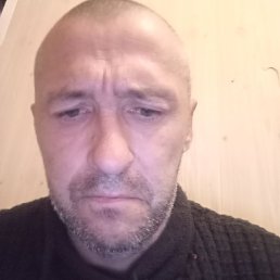 ������, �����������, 46 ���