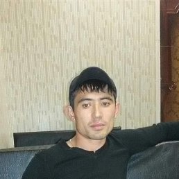 ���� ���������, �������, 40 ��� - ��������� 1 ������� 2023