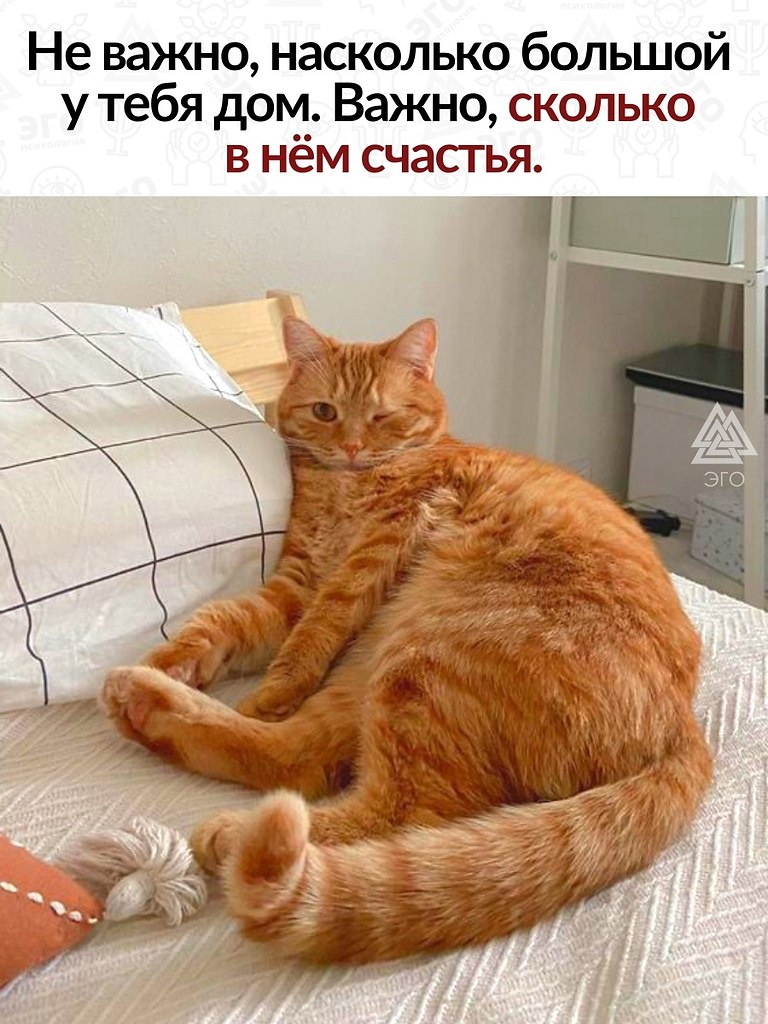            ,   ...