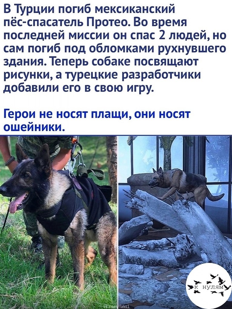 a�o� �e o� �o�o�e�! ���� ����� ����� ��� ����