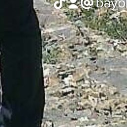 Bayon, �������, 31 ���