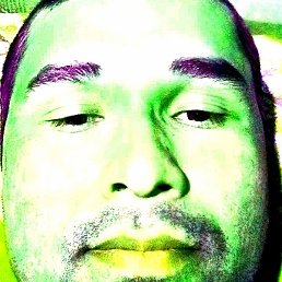 Rashid, �������, 34 ����