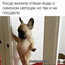  , , 62  -  27  2023    