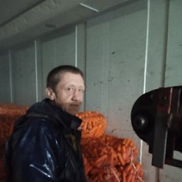 ����, ������, 50 ���