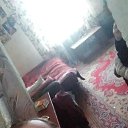 ���� ����, ���������, 50 ��� - ��������� 9 ���� 2023 � ������ ���� ����������