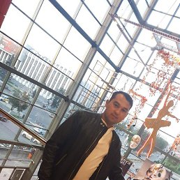 ����, ������, 33 ����