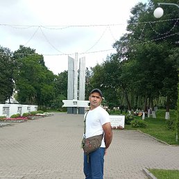 �����, ������, 41 ���