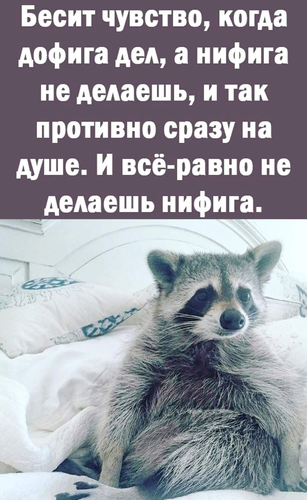 ***Victoria Viktorovna*** - 14  2023  10:15