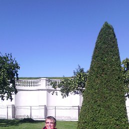 ���� �������, ���������, 62 ���� - ��������� 29 ��� 2023