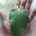 ���� ������, ��������, 47 ��� - ��������� 28 ���� 2023