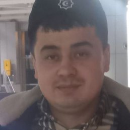 �����, �������, 36 ���