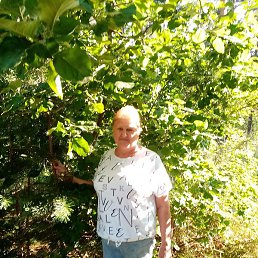 �����, ������-��-����, 66 ���