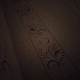 Ramin, ����, 41 ���