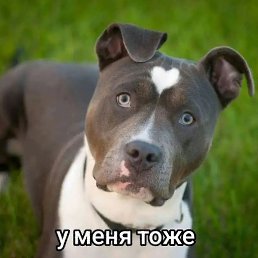 ����, ������ ��������, 27 ���