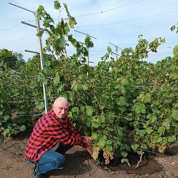 ������, ������, 57 ���