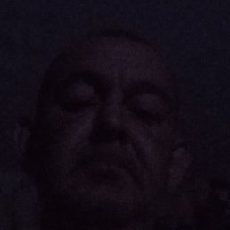 ����, �����������, 48 ���