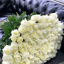  Aydin, , 59  -  26  2023