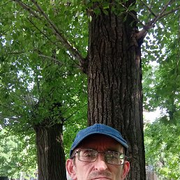 ���������, �����������, 50 ���