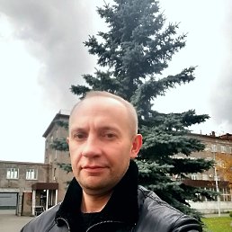 , 42, 