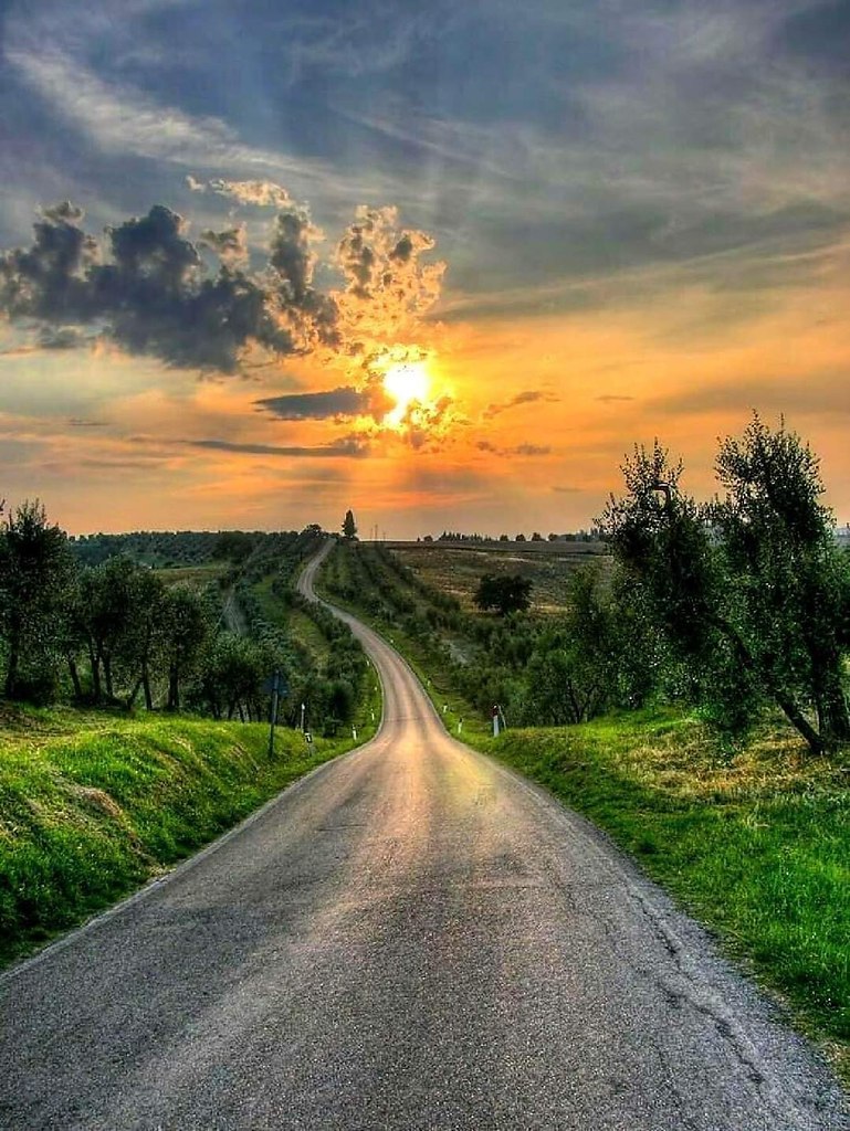    ,  .           ...