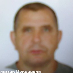 ��������, �������, 51 ���