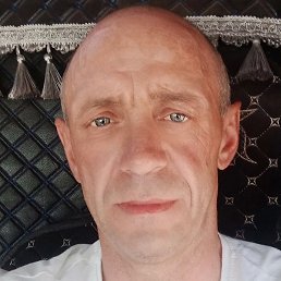 ��������, �������, 46 ���