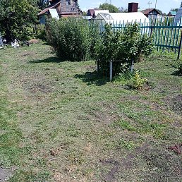 ��������, �����������, 60 ���