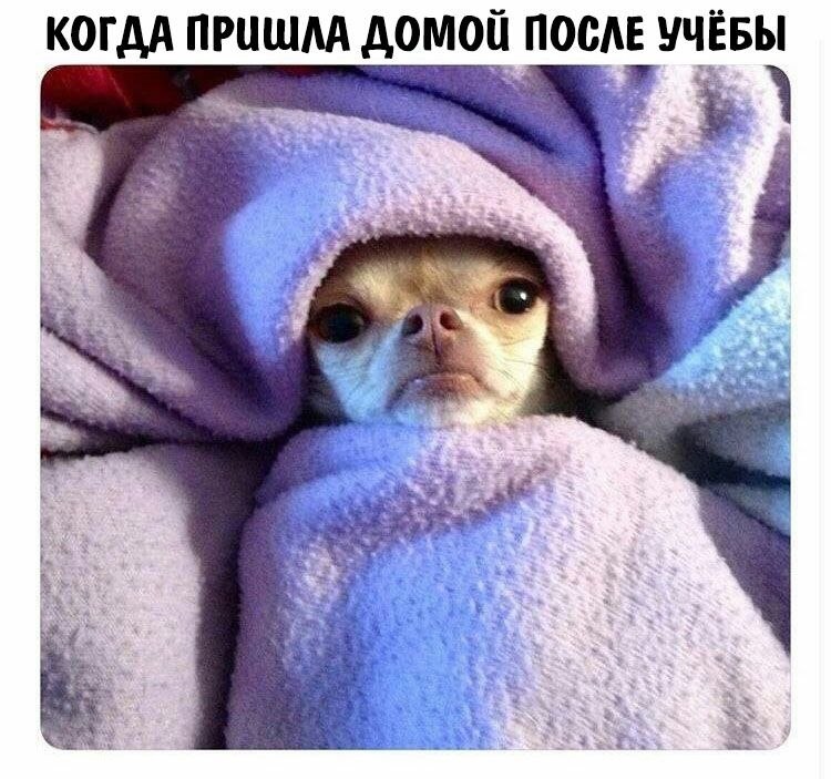    - 1  2023  02:11