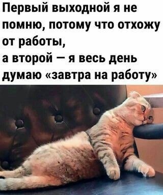   - 28  2023  13:54