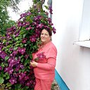 ���� ������, �������, 67 ��� - ��������� 21 ������� 2023 � ������ ���� ����������