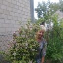  Larisa, , 71  -  6  2023    