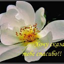 ���� ������, ������ - ��������� 16 ������� 2023 � ������ ������ ��������