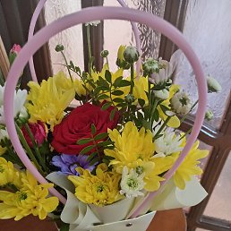 �������, �����, 52 ����