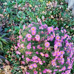 ���� ���������, ������, 60 ��� - ��������� 31 ����� 2023