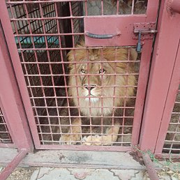 ���� ���������, ������, 48 ��� - ��������� 28 ��� 2023